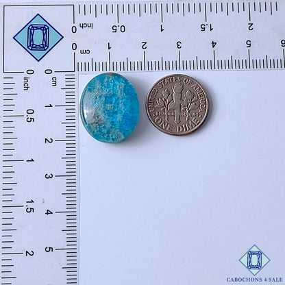 Apatite Rutile Quartz Doublet