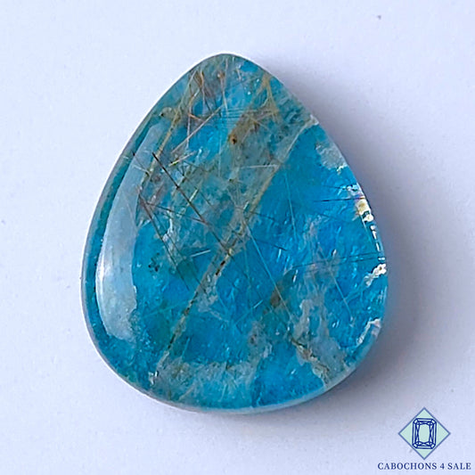 Apatite Rutile Quartz Doublet