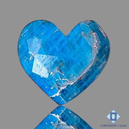 Apatite +  Rutile Quartz Doublet