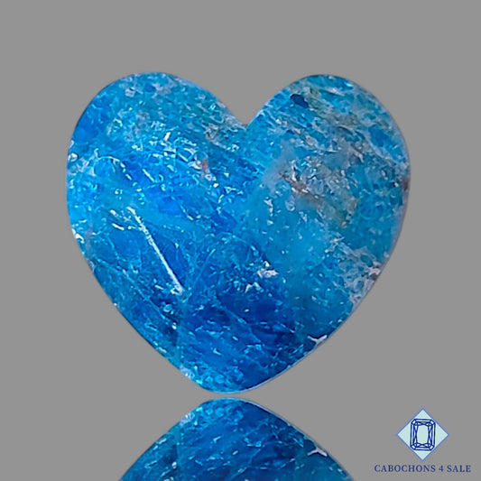 Apatite +  Rutile Quartz Doublet