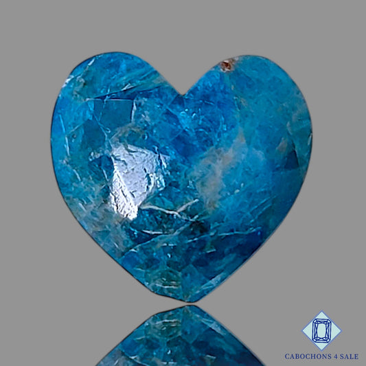 Apatite +  Rutile Quartz Doublet