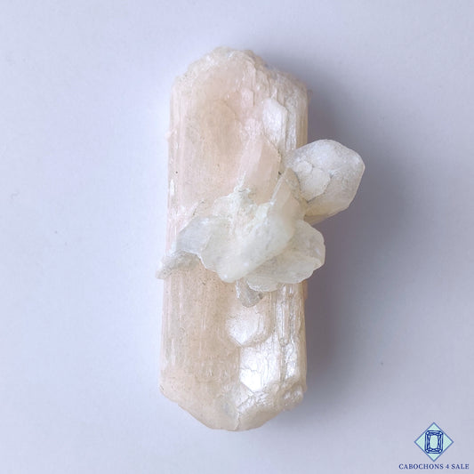 Apophyllite
