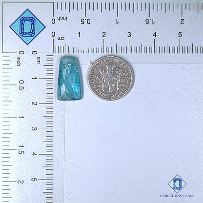 Piedra preciosa de cianita aqua natural de corte rosa elegante de 17 x 9 x 4 mm procedente de Brasil, disponible para la venta.