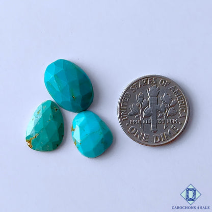 Arizona Turquoise