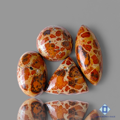 Asteroid Jasper