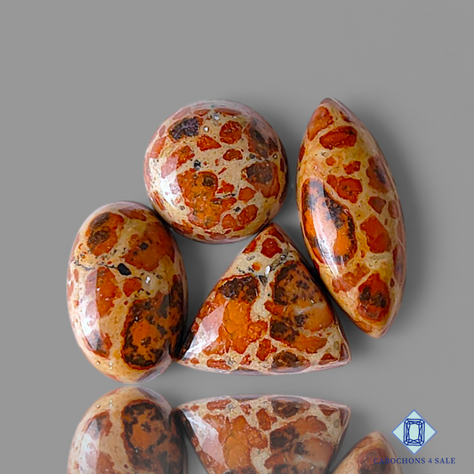 Asteroid Jasper