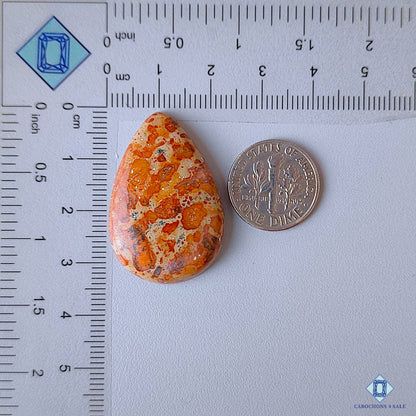 Asteroid Jasper