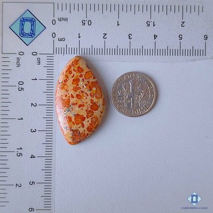 Asteroid Jasper