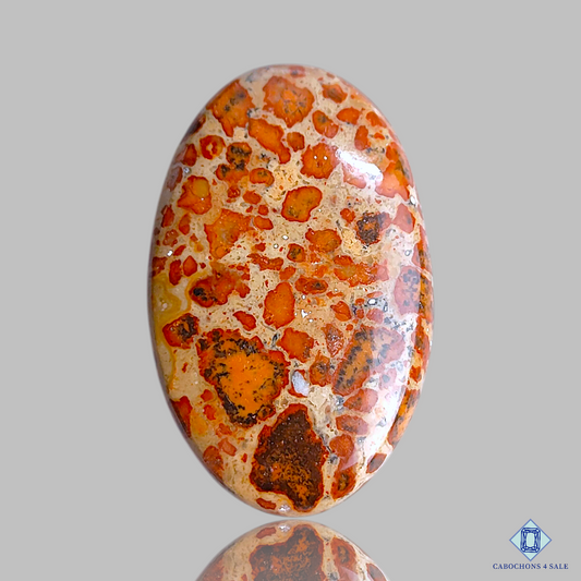 Asteroid Jasper