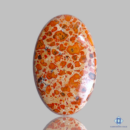 Asteroid Jasper