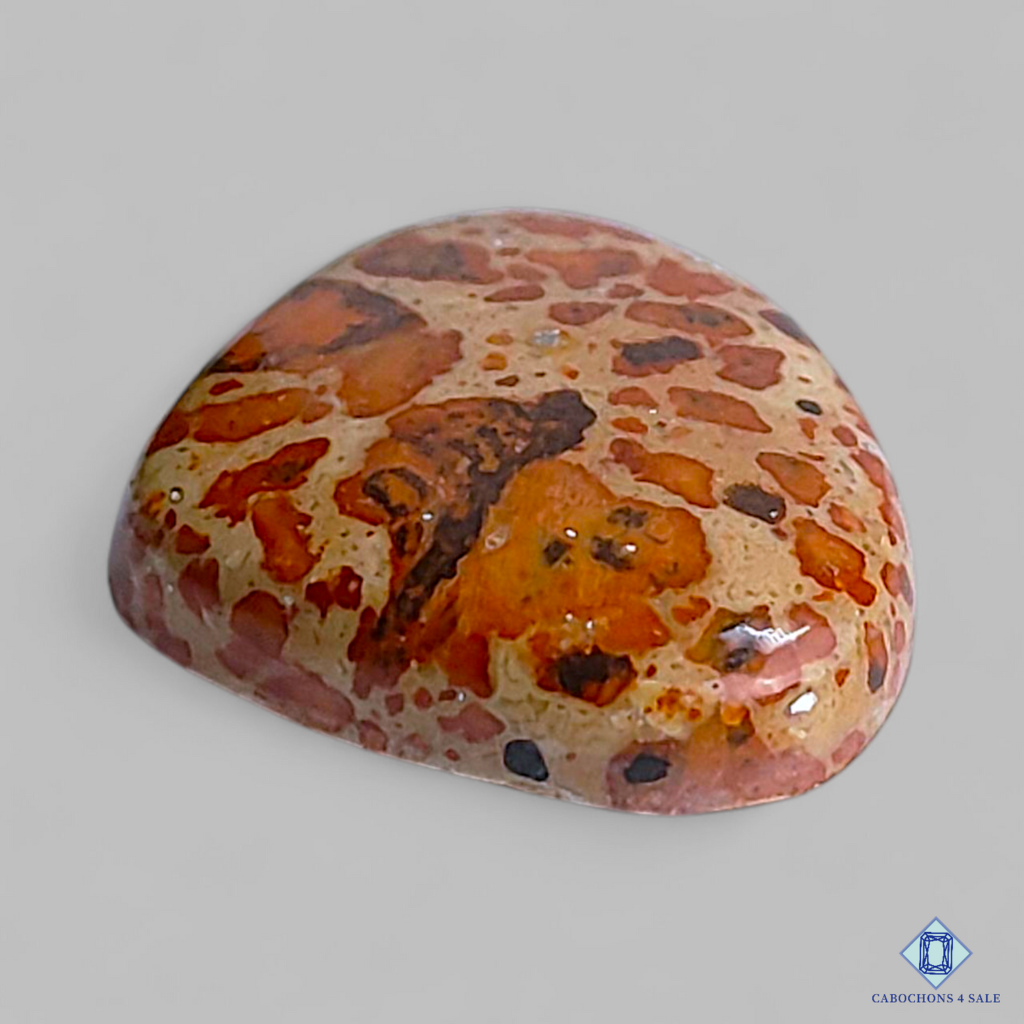 Asteroid Jasper