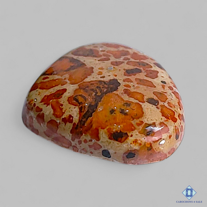 Asteroid Jasper
