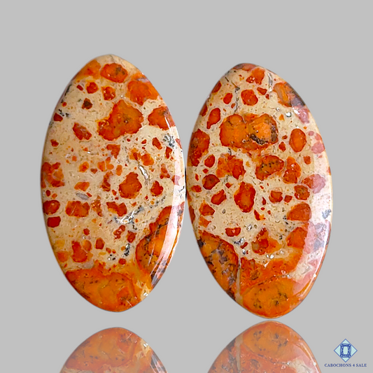 Asteroid Jasper