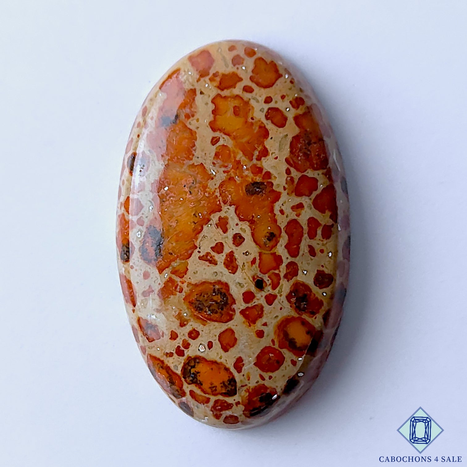 Asteroid Jasper