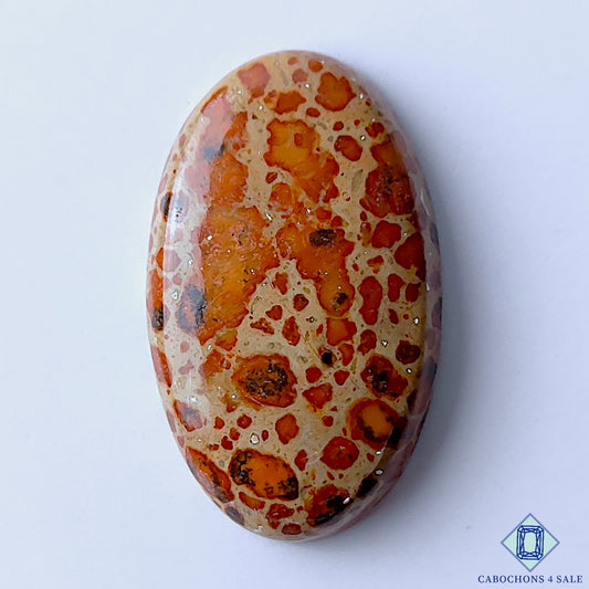 Asteroid Jasper