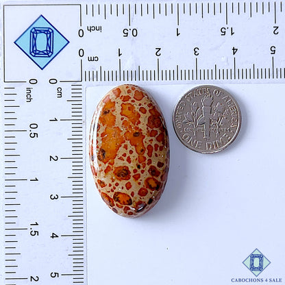 Asteroid Jasper