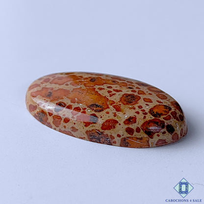Asteroid Jasper