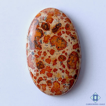 Asteroid Jasper