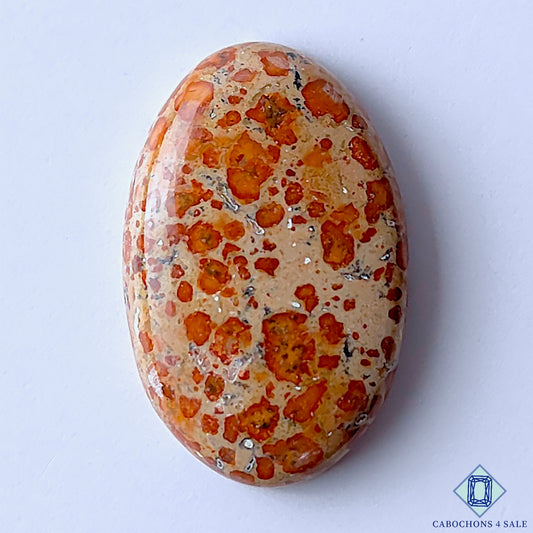 Asteroid Jasper