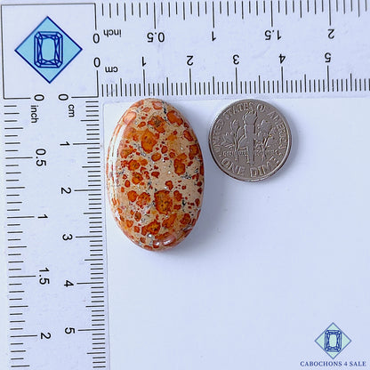 Asteroid Jasper