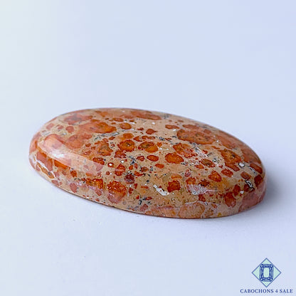 Asteroid Jasper