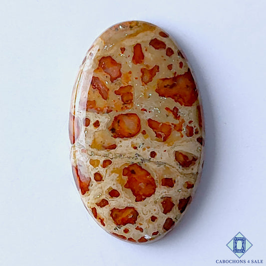 Asteroid Jasper