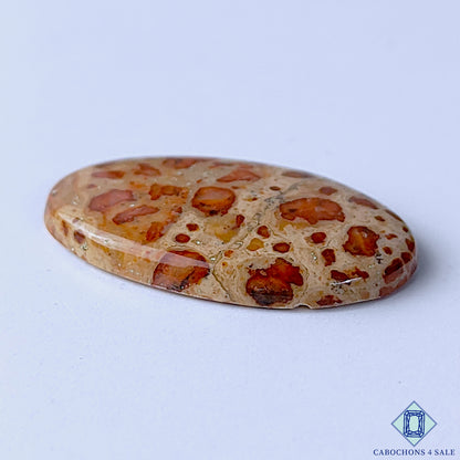Asteroid Jasper