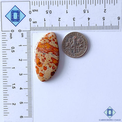 Asteroid Jasper
