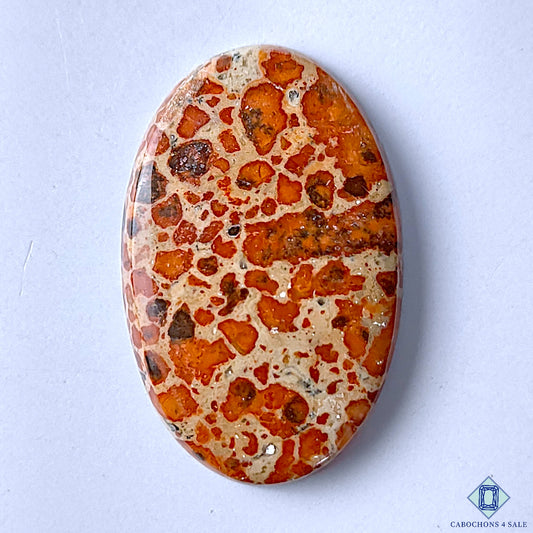 Asteroid Jasper