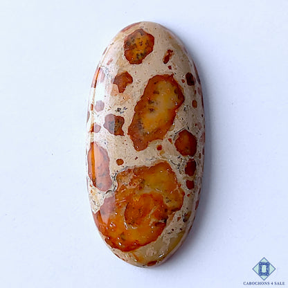 Asteroid Jasper