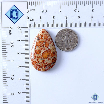 Asteroid Jasper