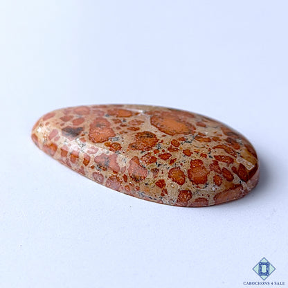 Asteroid Jasper