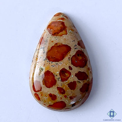 Asteroid Jasper