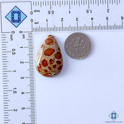 Asteroid Jasper