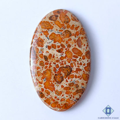 Asteroid Jasper