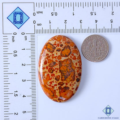 Asteroid Jasper