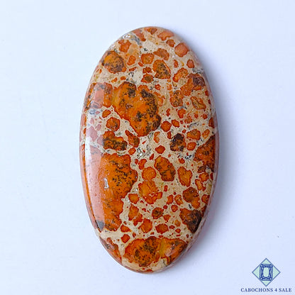 Asteroid Jasper