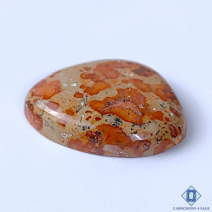 Asteroid Jasper