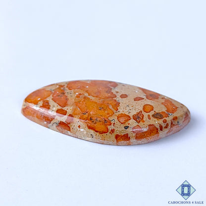 Asteroid Jasper