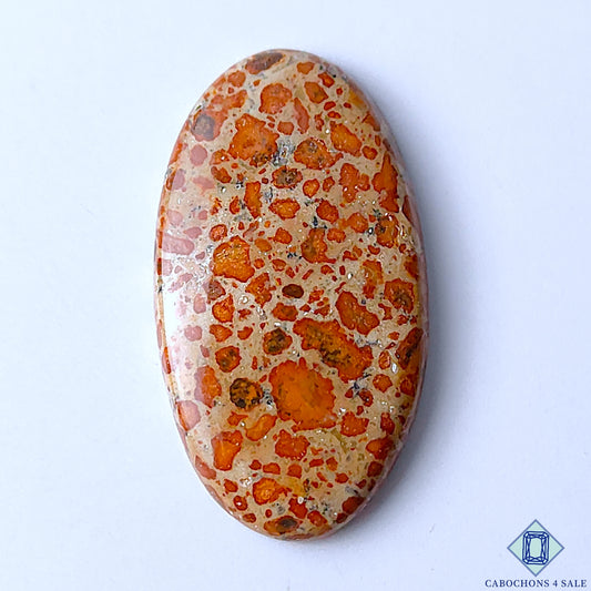 Asteroid Jasper