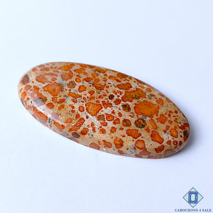 Asteroid Jasper