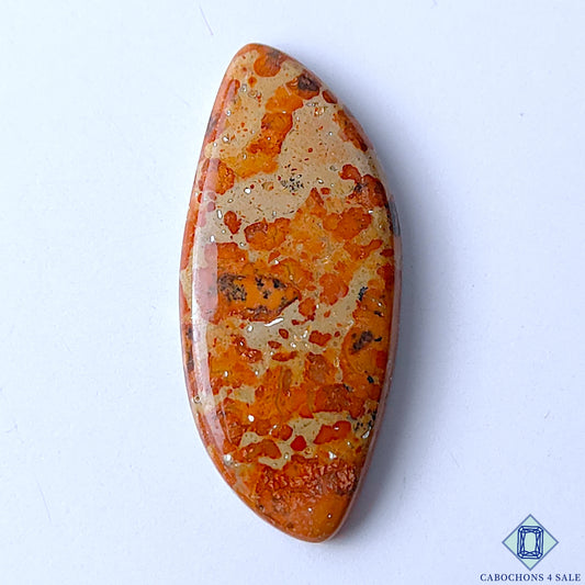 Asteroid Jasper