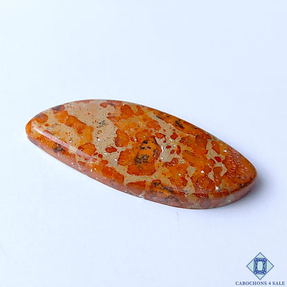 Asteroid Jasper