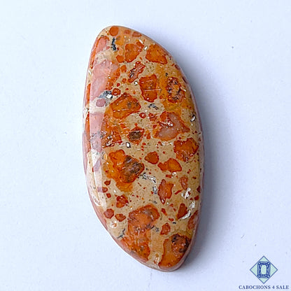 Asteroid Jasper