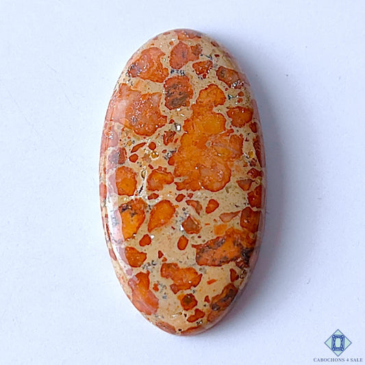 Asteroid Jasper