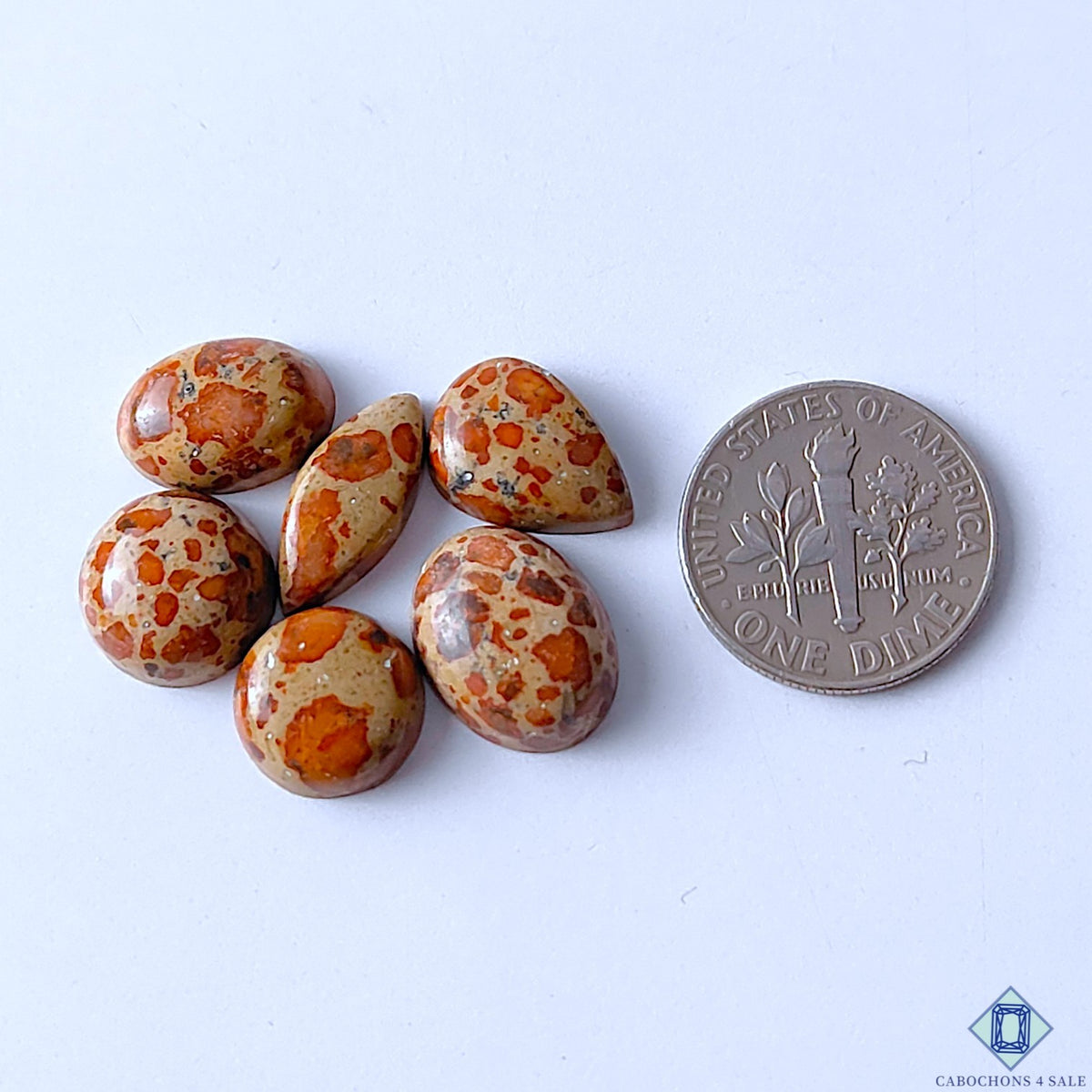 0-Asteroid_Jasper-C4sw23123-2-Mix_Shape-Brown-mm-Lots-Opaque-0
