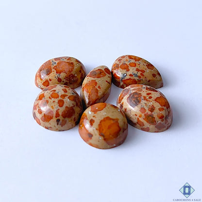 0-Asteroid_Jasper-C4sw23123-3-Mix_Shape-Brown-mm-Lots-Opaque-0
