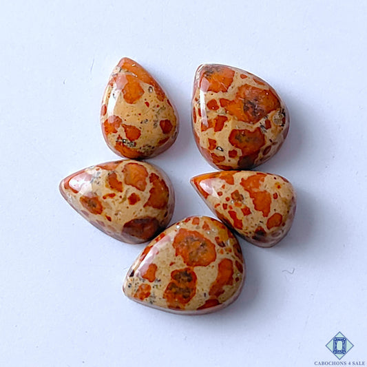 Asteroid Jasper