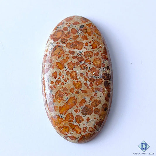 Cabochons4sale oval asteroid jasper cabochon with brown spotted pattern and polished opaque finish