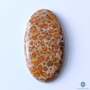 Asteroid Jasper Oval Cabochons 46x25x6mm